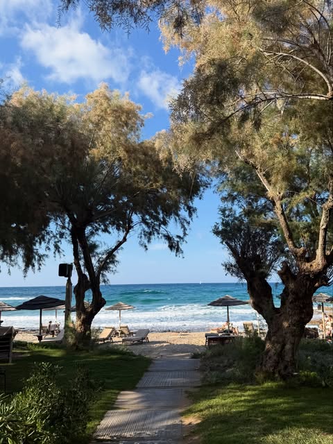A tree-shaded path leading down to a beach and blue sea